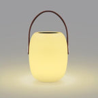 Rechargeable Table Lamp | Cordless RGB & White Light with Remote Control | Compact Design for Versatile Indoor and Outdoor Use