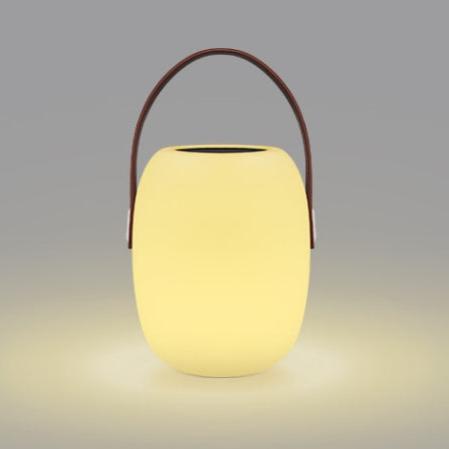 Rechargeable Table Lamp | Cordless RGB & White Light with Remote Control | Compact Design for Versatile Indoor and Outdoor Use