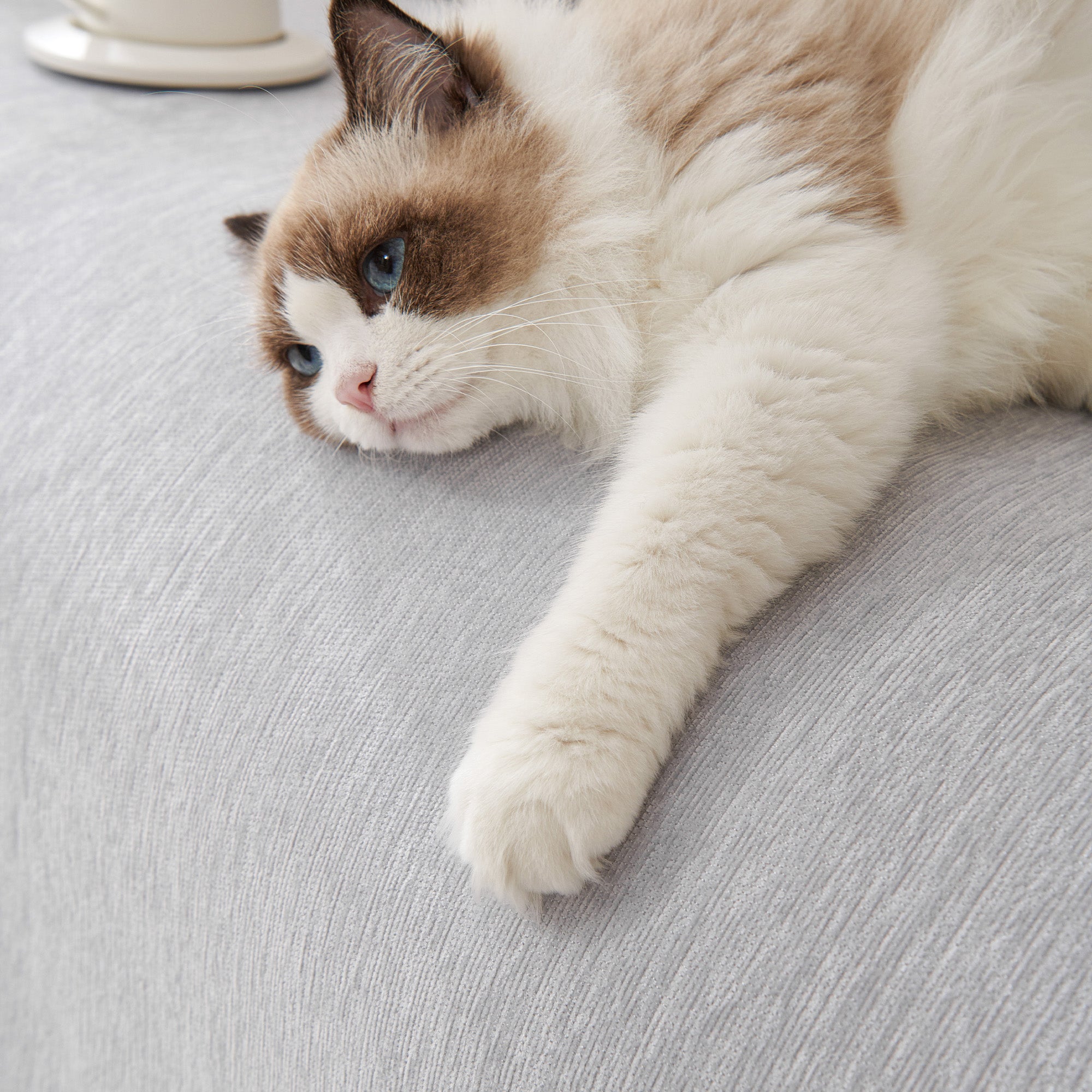 Pure Embrace Geometric Sofa Cover for Quick Modern Style