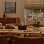 Modern Tabletop Bioethanol Fireplace Glass Metal Fire Bowl