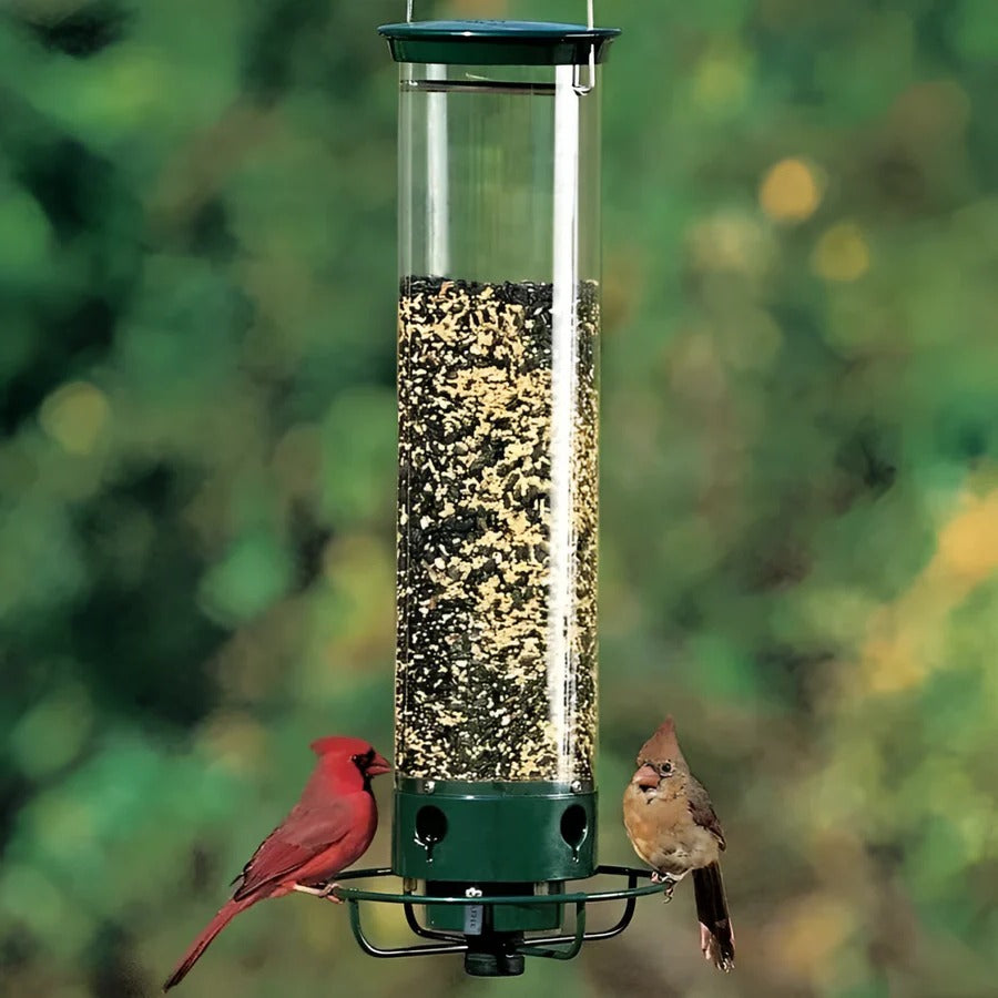 Squirrel Proof Bird Feeder for Backyard Bird Feeding