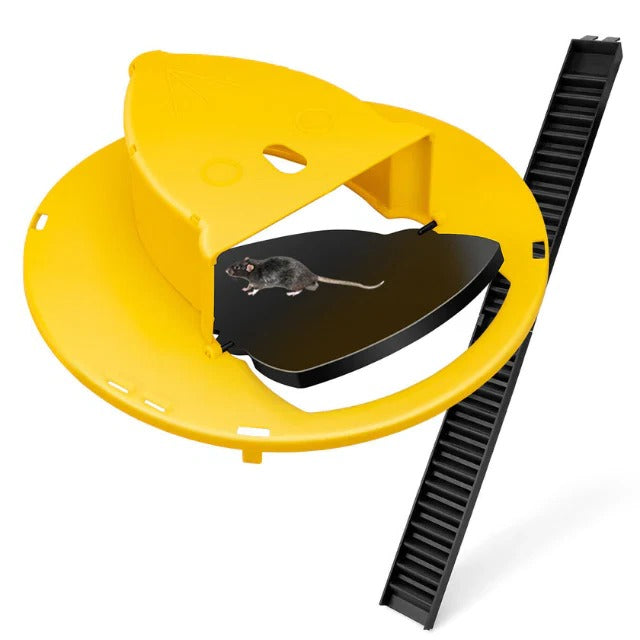 Reusable Humane Bucket Mouse and Rat Trap Cover