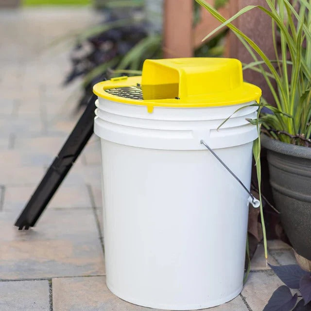 Reusable Humane Bucket Mouse and Rat Trap Cover