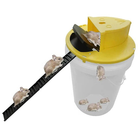 Reusable Humane Bucket Mouse and Rat Trap Cover