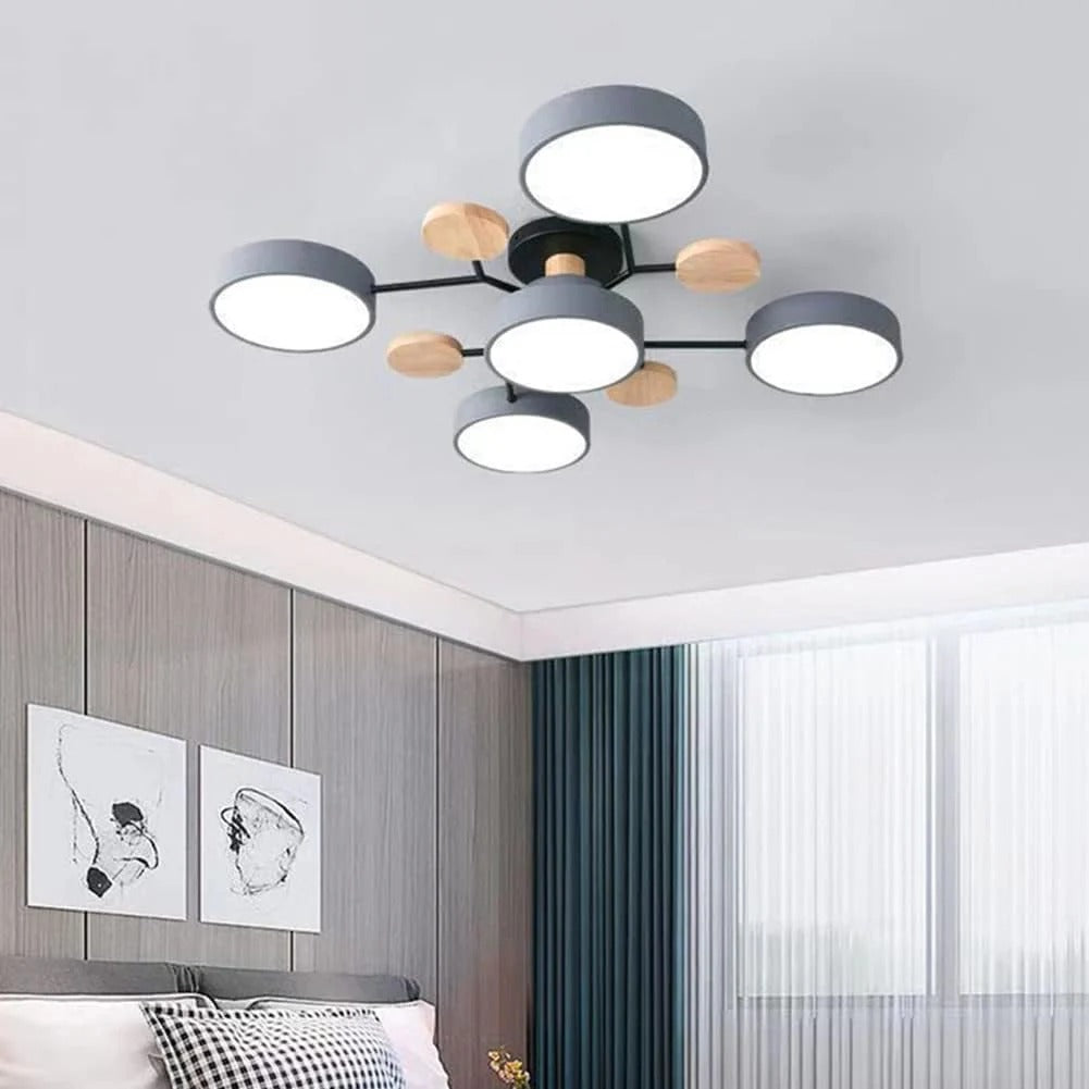 Modern LED Ceiling Lamp Acrylic Iron Living Room Light