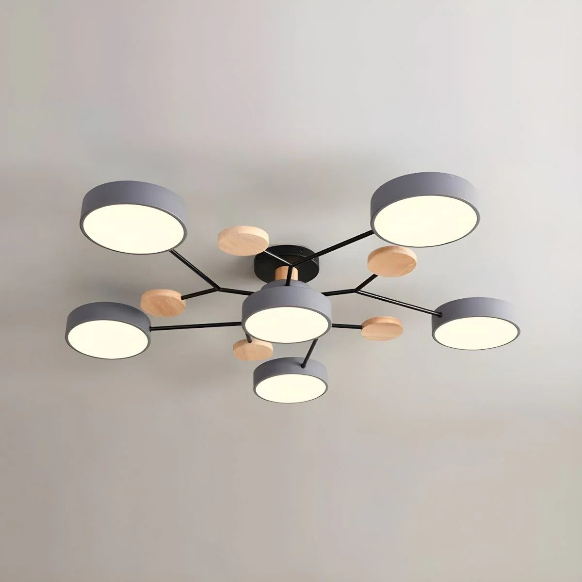 Modern LED Ceiling Lamp Acrylic Iron Living Room Light