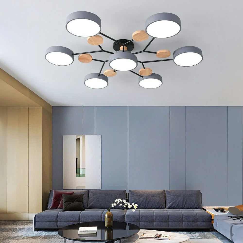 Modern LED Ceiling Lamp Acrylic Iron Living Room Light