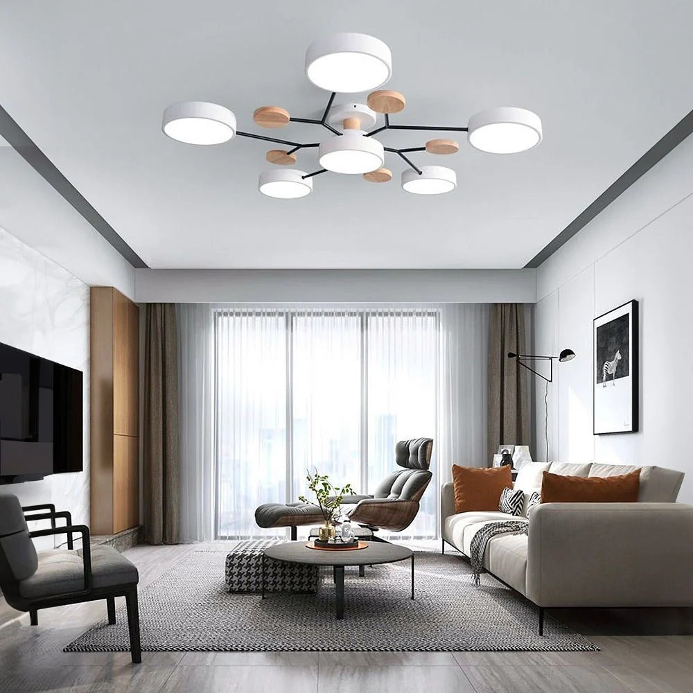 Modern LED Ceiling Lamp Acrylic Iron Living Room Light