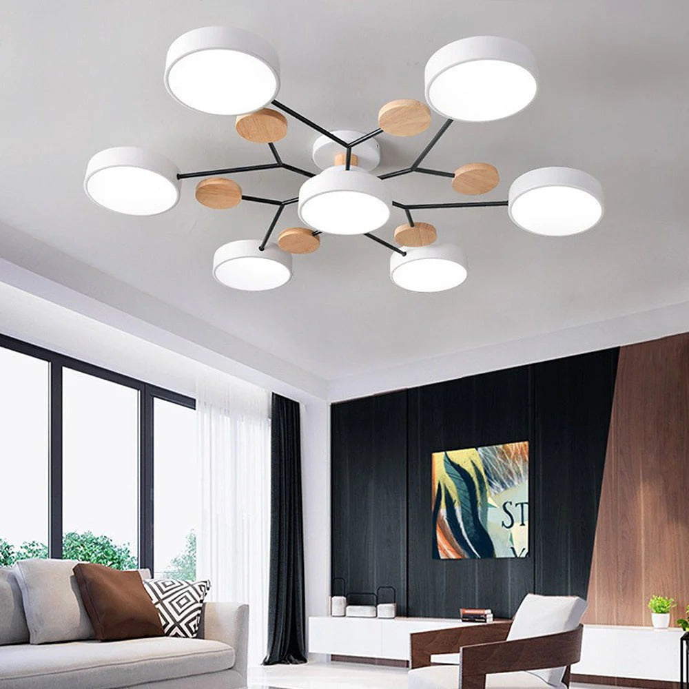 Modern LED Ceiling Lamp Acrylic Iron Living Room Light