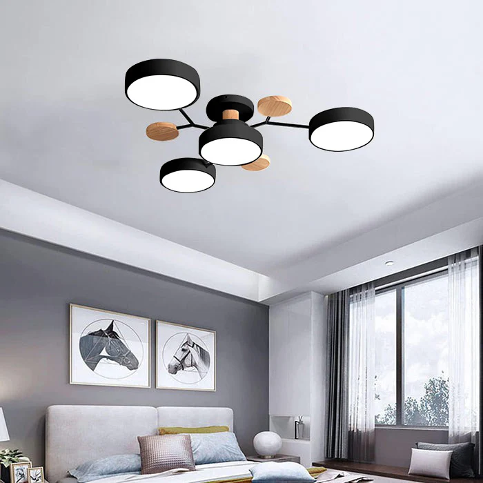 Modern LED Ceiling Lamp Acrylic Iron Living Room Light