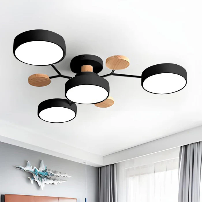 Modern LED Ceiling Lamp Acrylic Iron Living Room Light