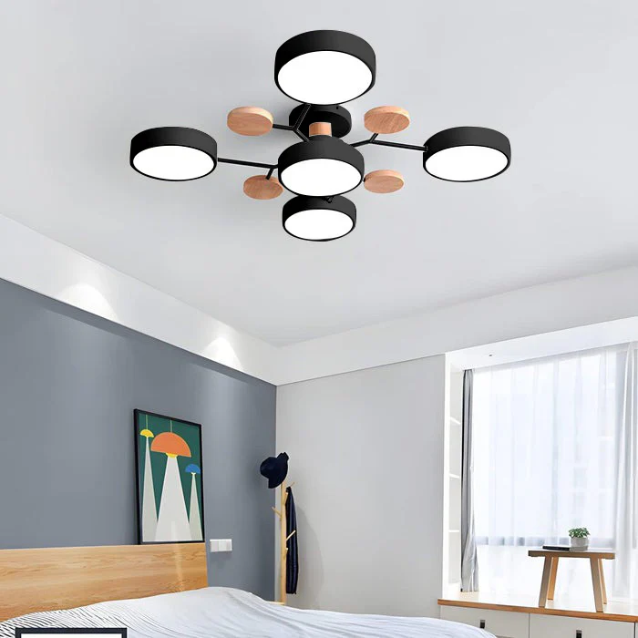 Modern LED Ceiling Lamp Acrylic Iron Living Room Light