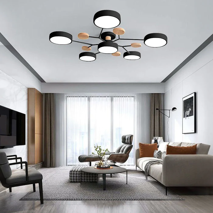 Modern LED Ceiling Lamp Acrylic Iron Living Room Light