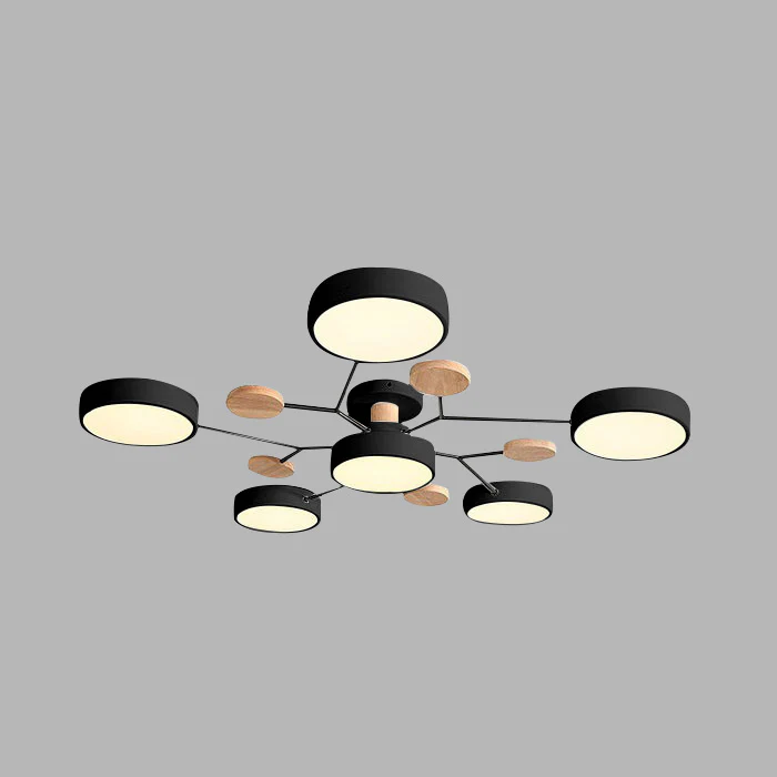Modern LED Ceiling Lamp Acrylic Iron Living Room Light