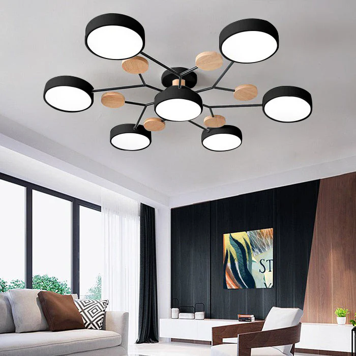 Modern LED Ceiling Lamp Acrylic Iron Living Room Light