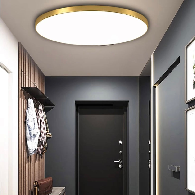 Round LED Ceiling Light Modern Flush Mount Lamp
